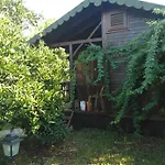 Armina * Çıralı