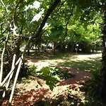 Armina Lodge