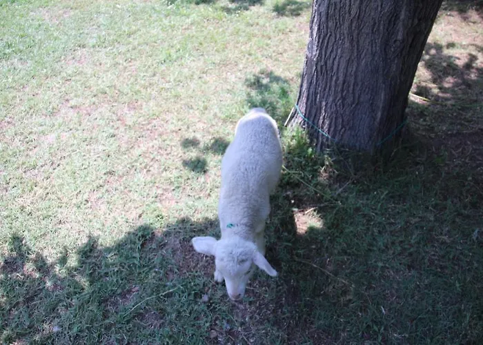 Armina Gerendaház Çıralı