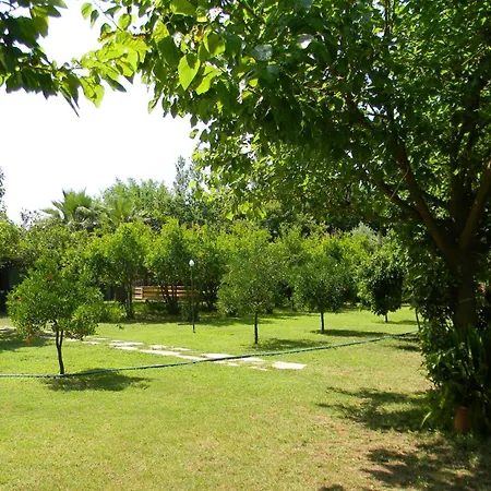 Armina Çıralı