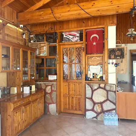 Orman Evi Armina *