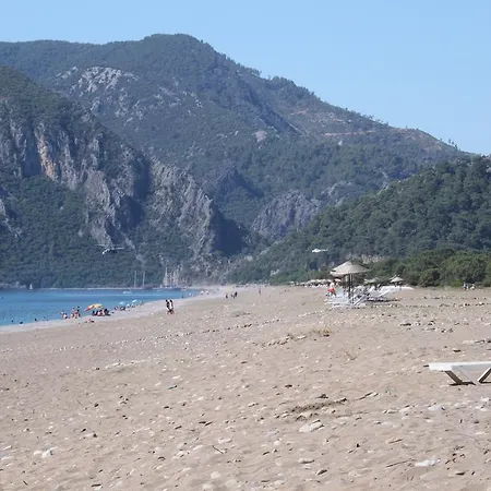 Alojamento de Turismo Selvagem Armina *