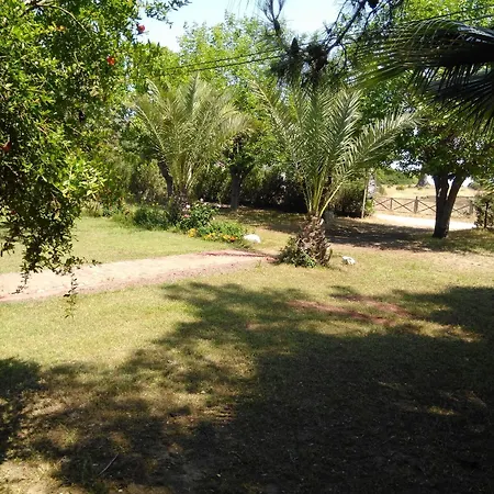 Lodge Armina Çıralı