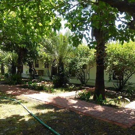 Armina Lodge Çıralı