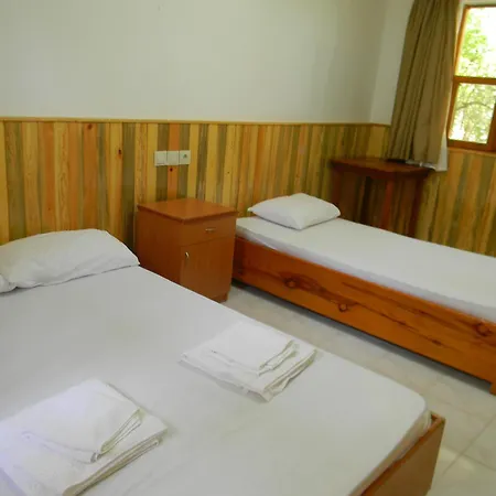 بيت خشبي Armina