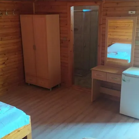 Armina بيت خشبي *