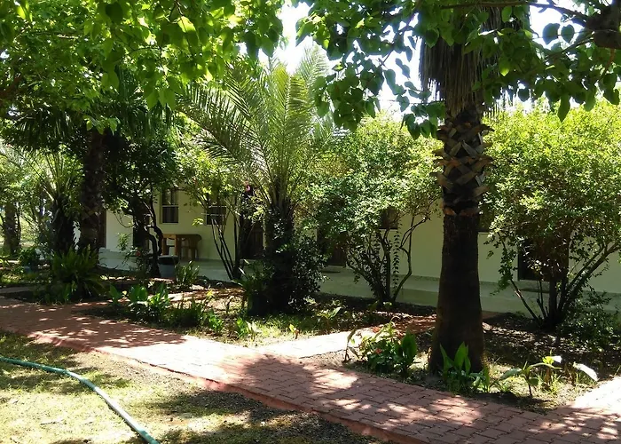 Armina Chata Çıralı